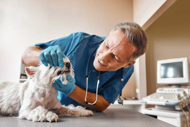 Best Same-Day Emergency Dental Services in Atlanta, TX